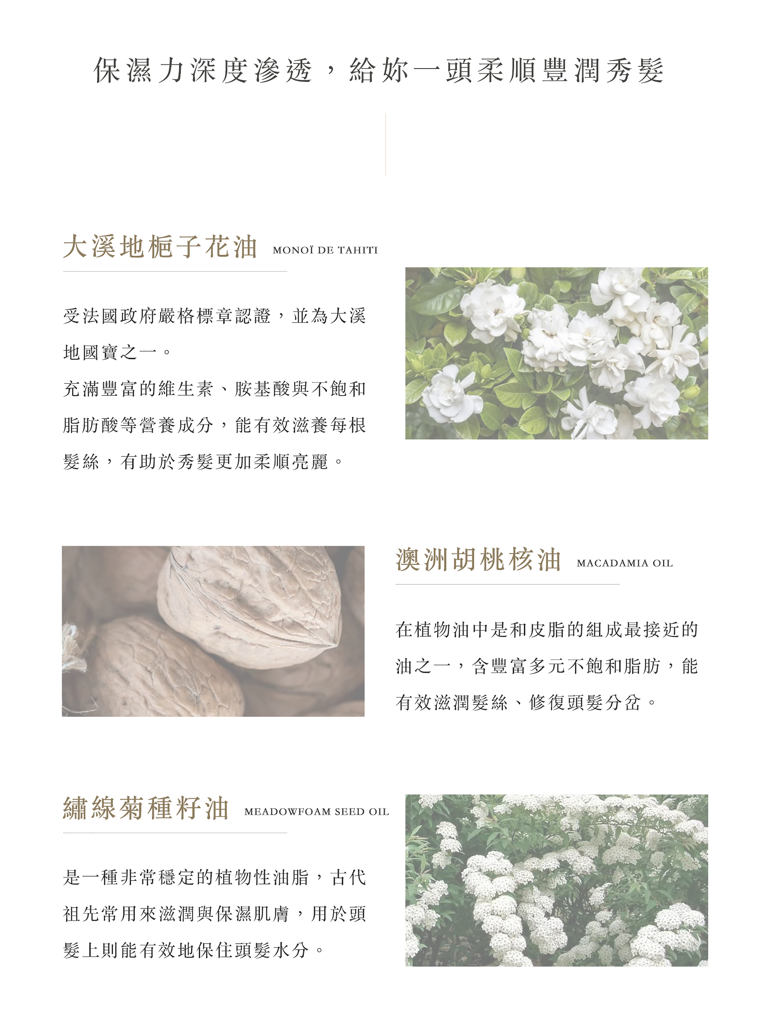 保濕力深度滲透，給你一頭柔順豐潤秀髮