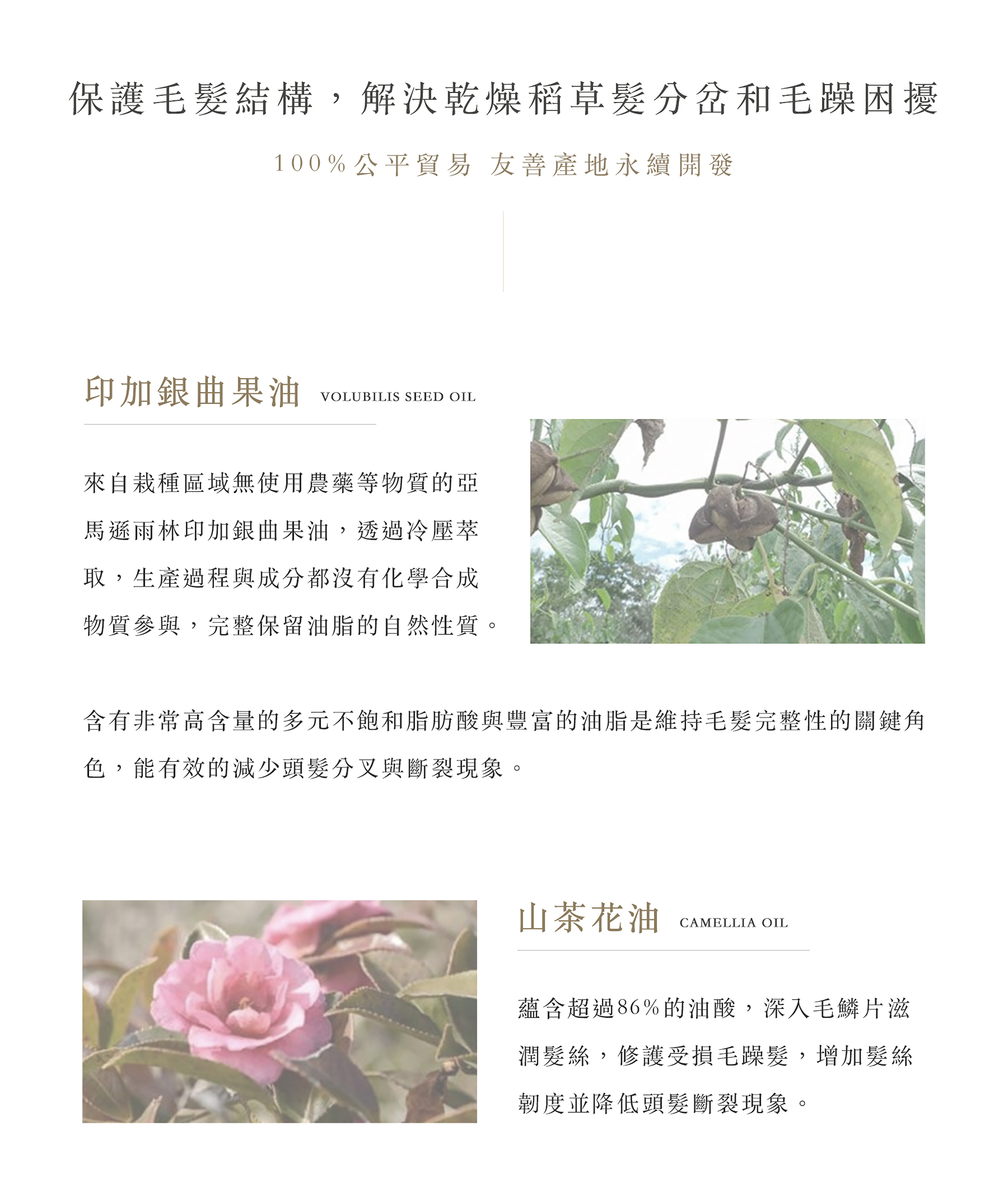 # 100%公平貿易 友善產地永續開發 保護毛髮結構，解決乾燥稻草髮分岔和毛躁困擾