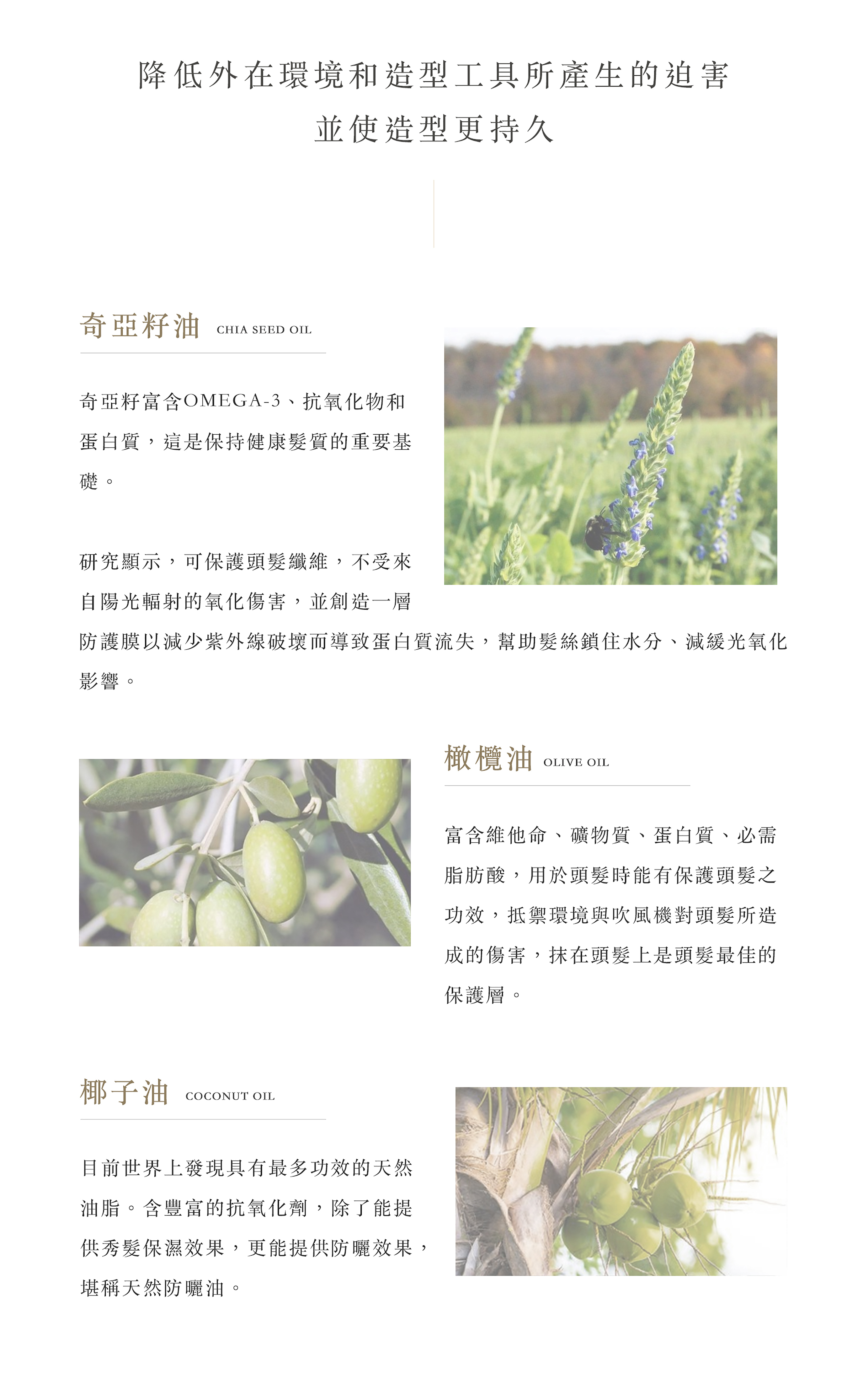 降低外在環境和造型工具所產生的迫害，並使造型更持久