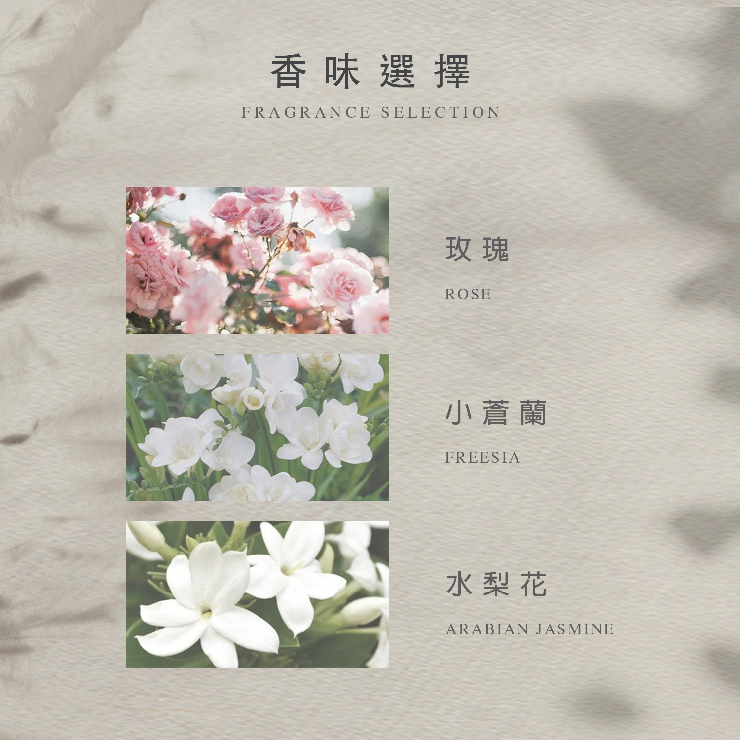 小蒼蘭、水梨花、玫瑰