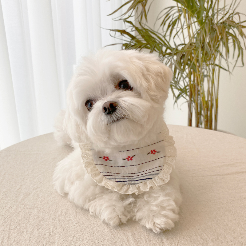 EYOU 小森林圍兜兜