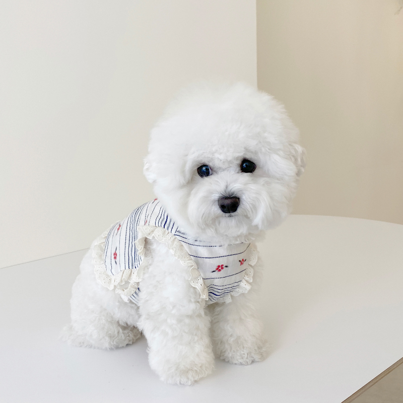 EYOU 小森林背心