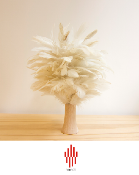 台灣雞毛撣子用品