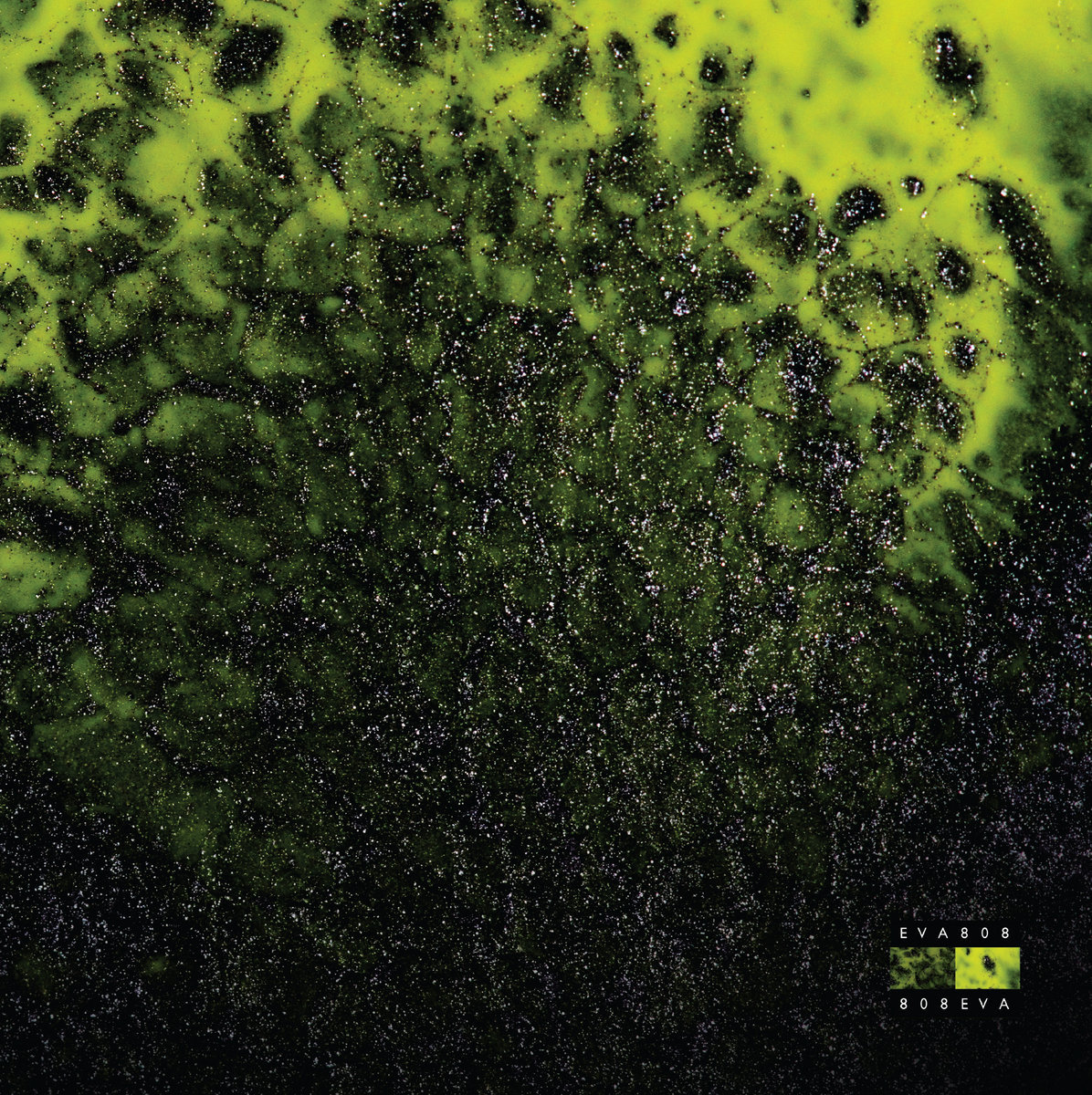 EVA808《Sultry Venom》（3LP）