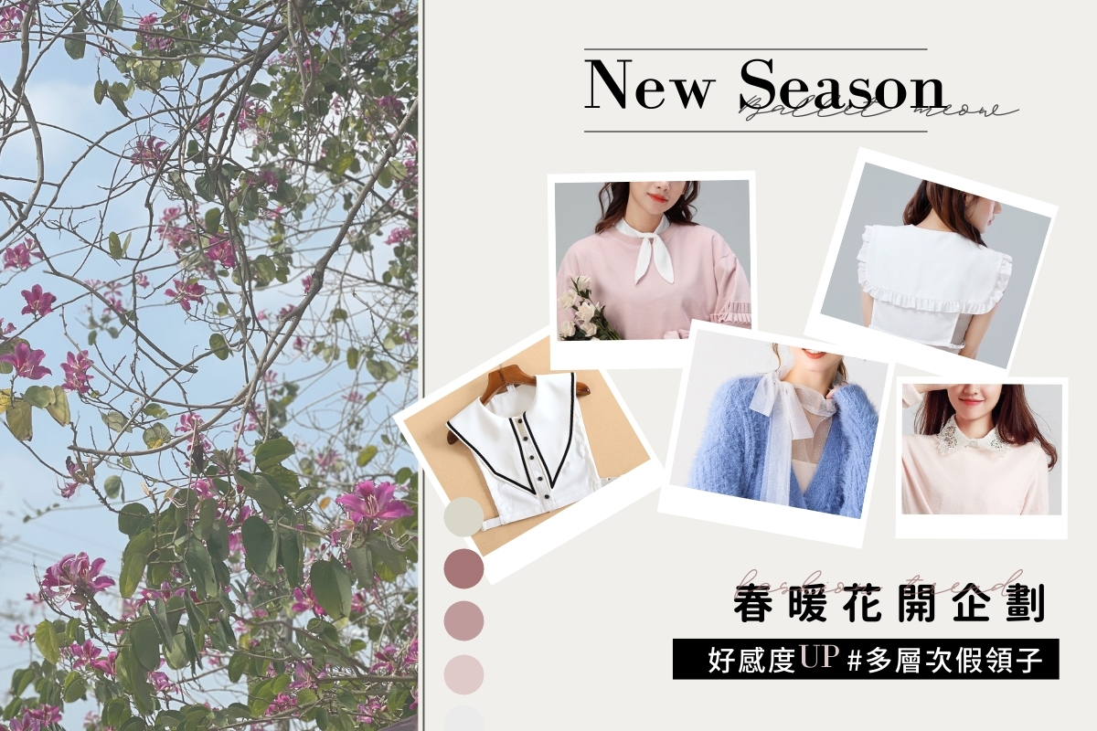 假領子、法式無襯內衣bralette無襯墊內衣、薄襯內衣、蕾絲內衣