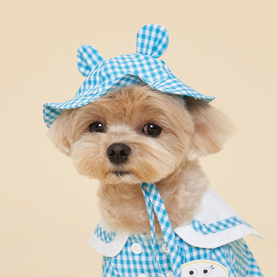 可愛幼兒園-配件-熊帽子-It’s sunny outside