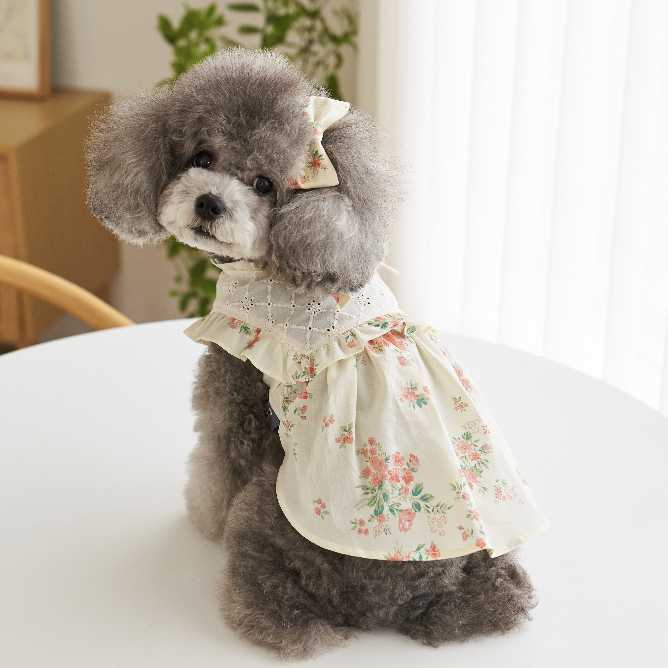 荷葉領玫瑰花裙 Flower Graden OPS_Rose-It’s sunny outside