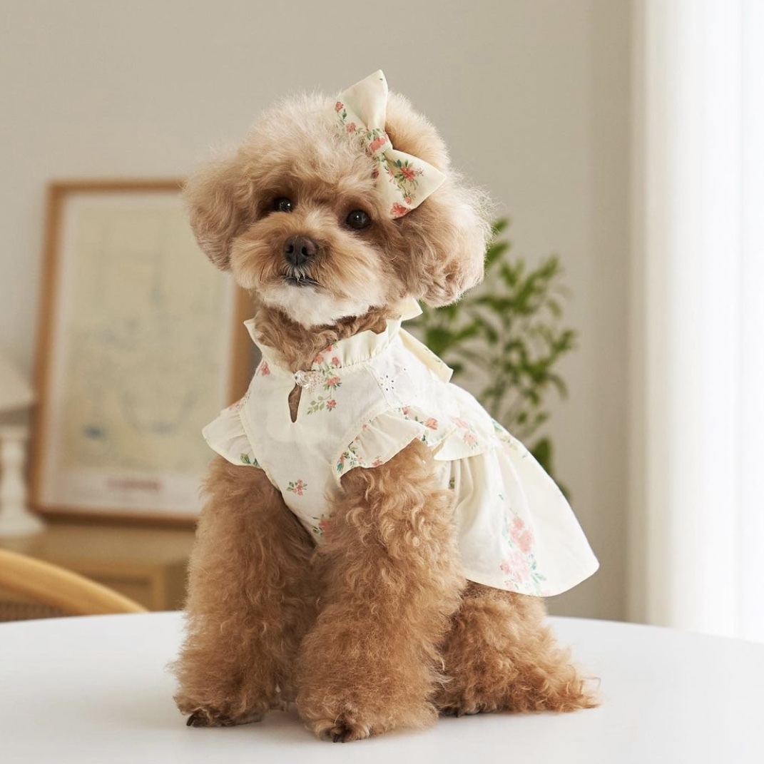 荷葉領玫瑰花裙 Flower Graden OPS_Rose-It’s sunny outside