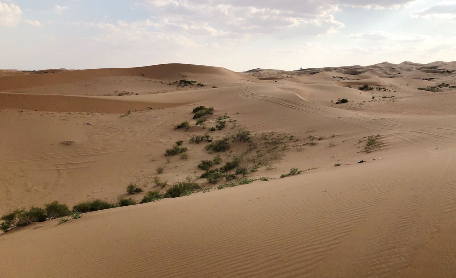 蒙古國沙漠化影響東亞地區