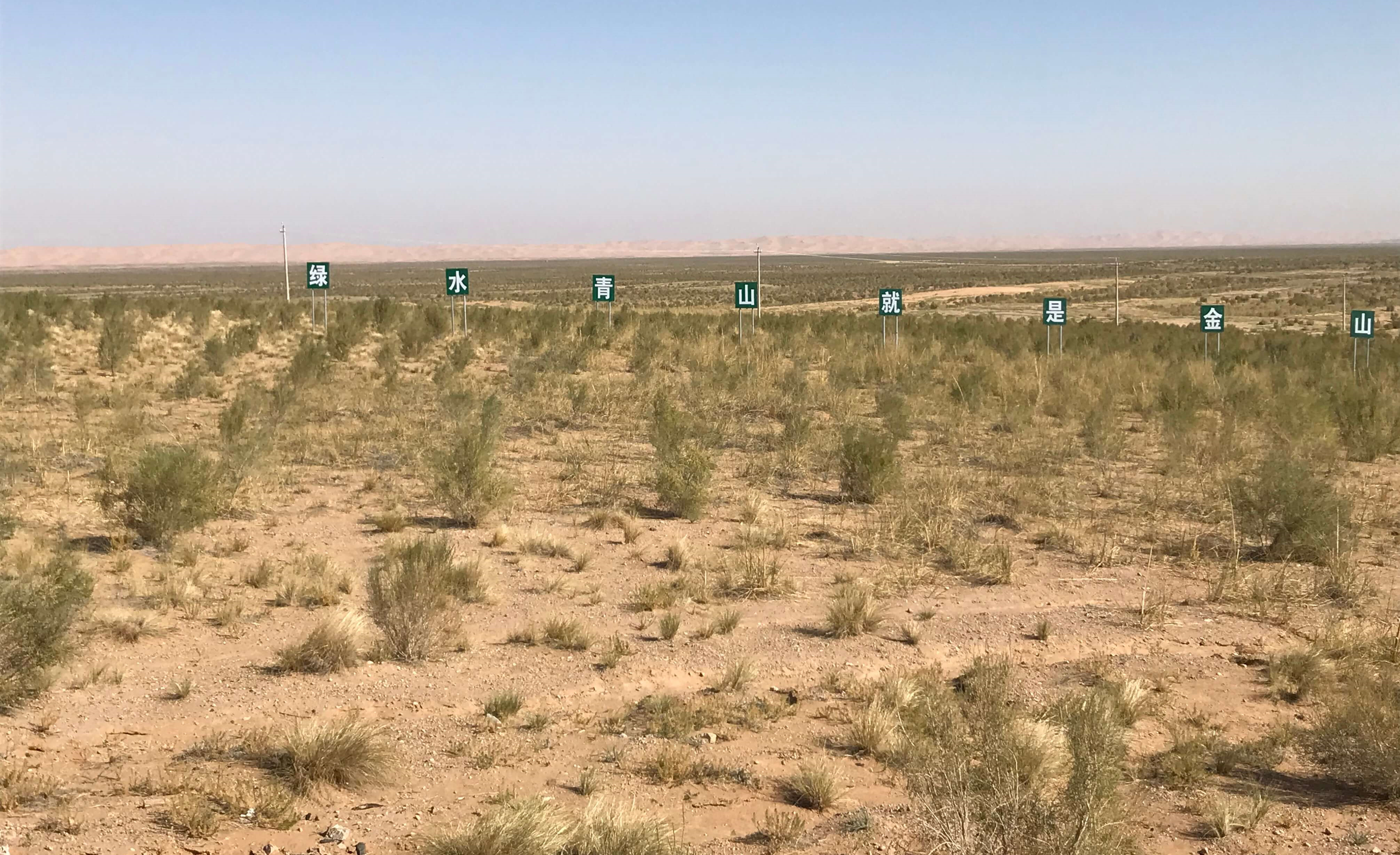 優森泰期望與慈心有機基金會一同於蒙古種樹帶來改變的機會