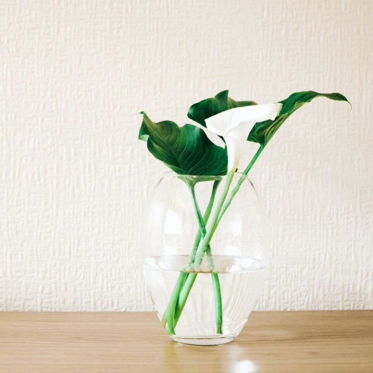 春季肌膚保養 - 中性/混合性肌膚篇