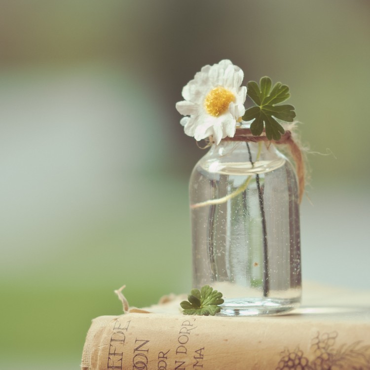 春季肌膚保養 –中性/混合肌膚篇