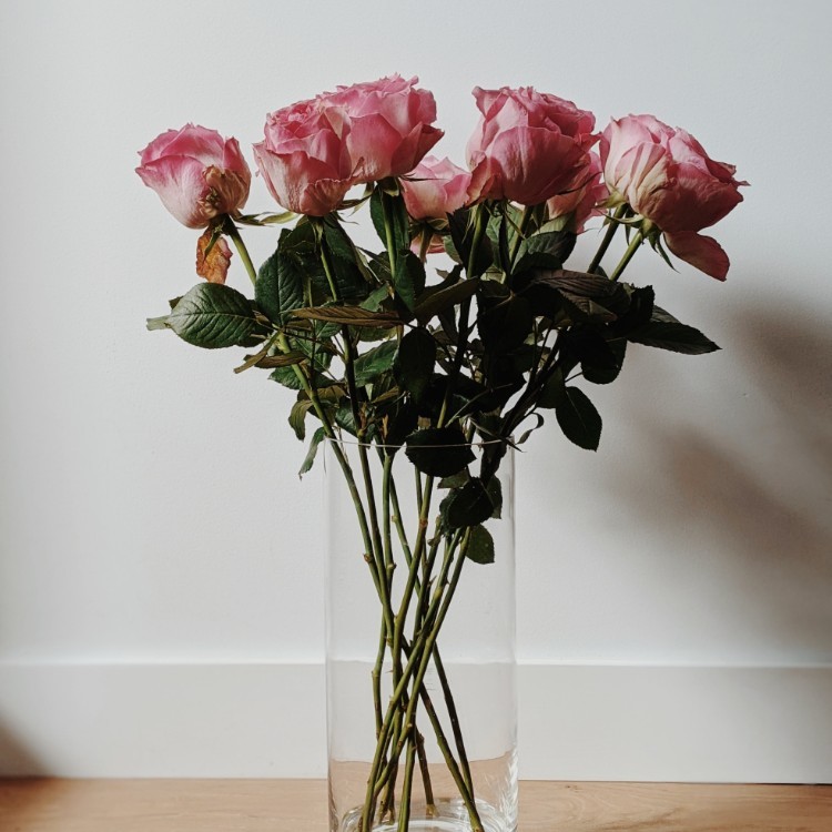 春季肌膚保養 –乾性/敏感肌膚篇