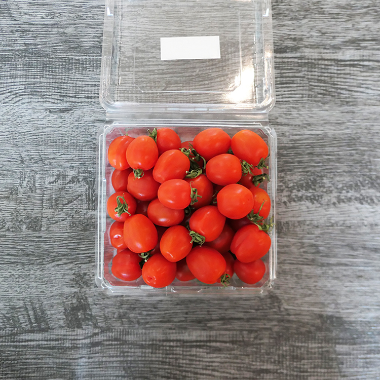紅櫻桃番茄