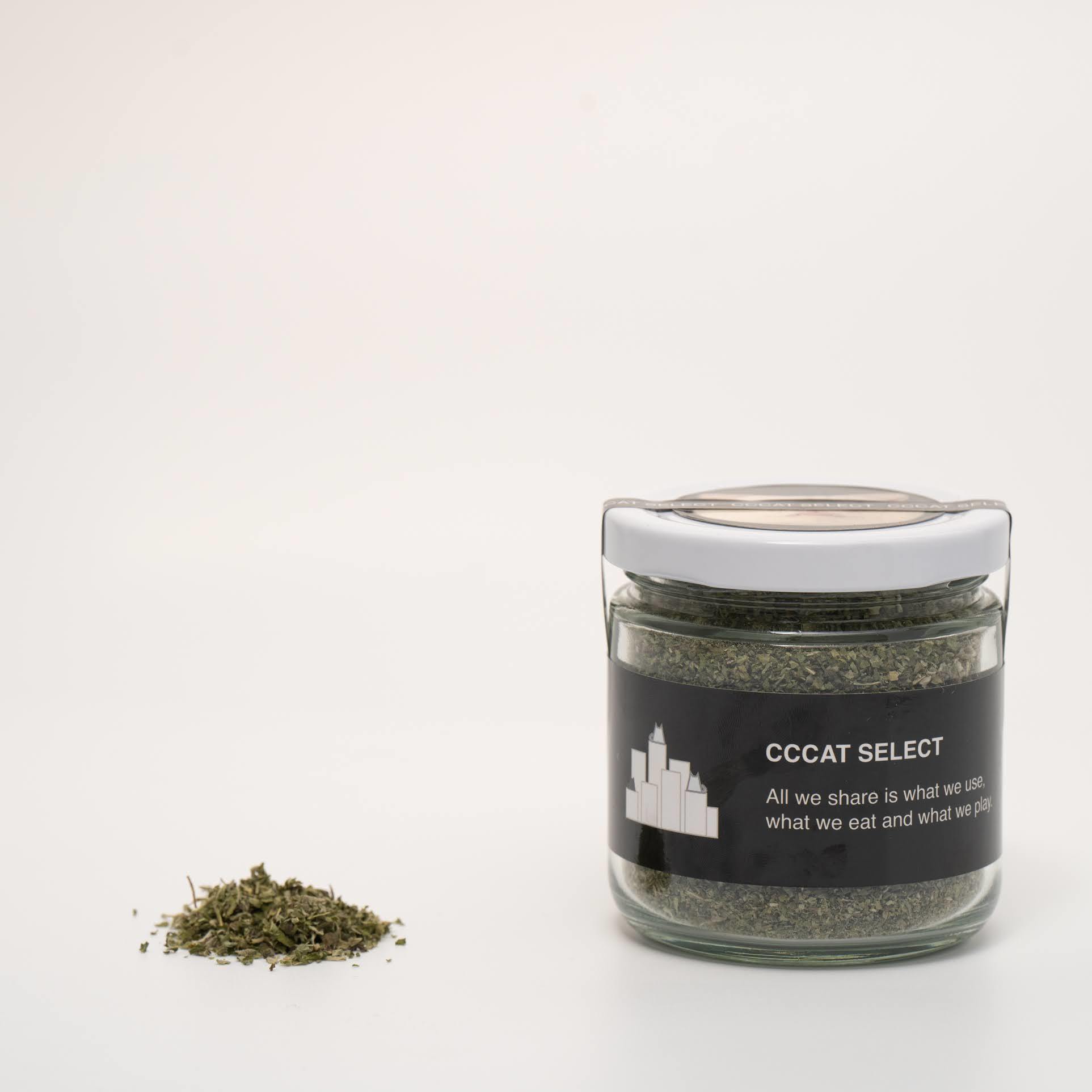 CCCAT 吸吸貓薄荷 ?