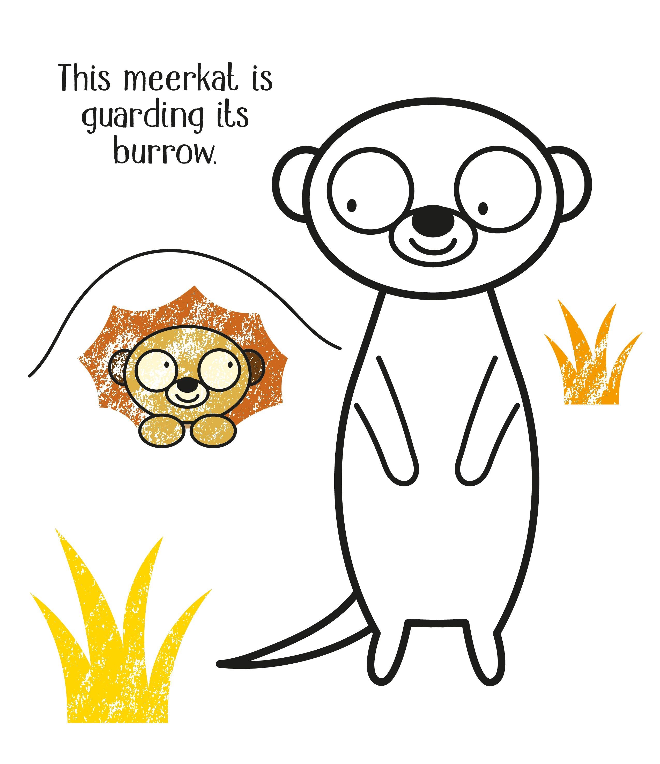 First Colouring Zoo Animals