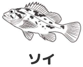 JACKALL BE GOOD IN EGG SMALL FISH ROD GD-S62L-2PC