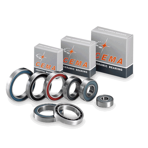 Cema Ceramic Bearing