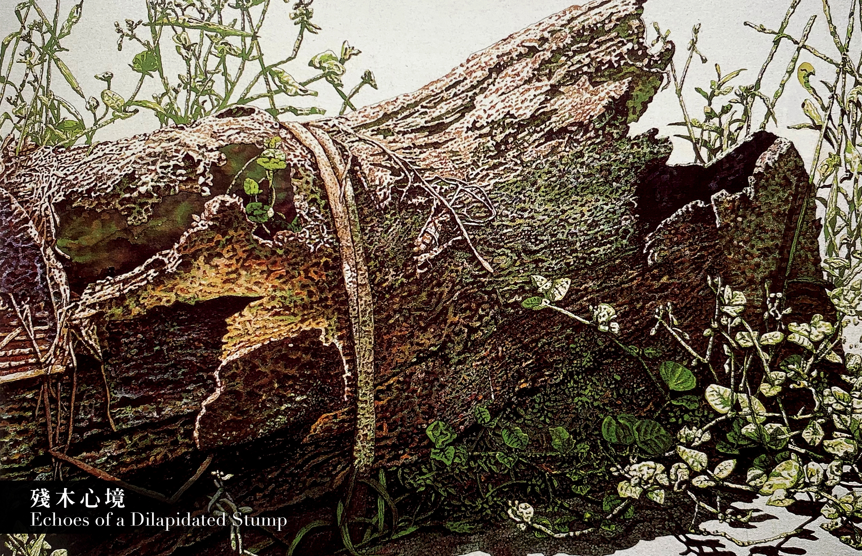 王昭權,蛋彩畫,油畫,蛋彩畫家,台灣蛋彩畫,換個角度