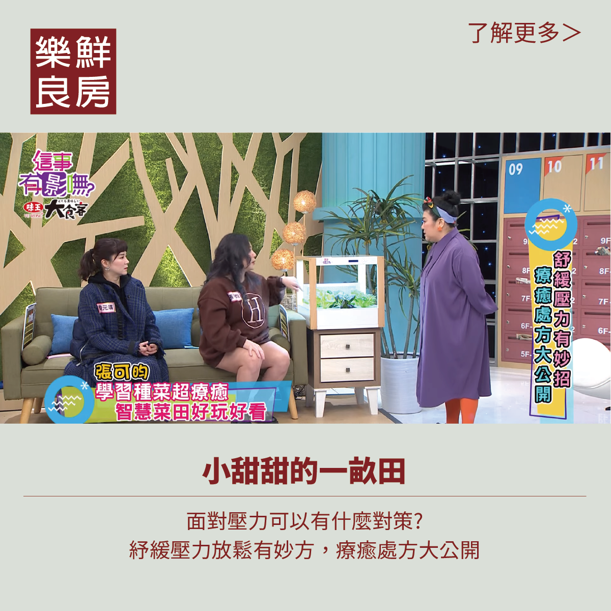 樂鮮良房-鮮氧智慧田民視療癒報導