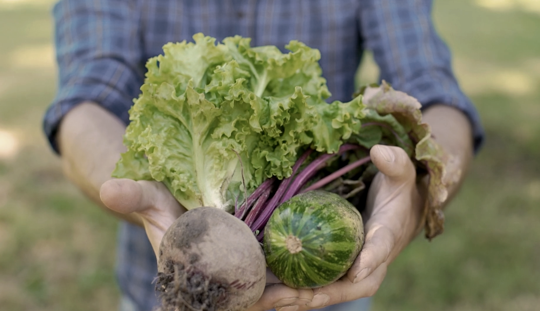 Emiliana,Viñedos Emiliana,Viña Emiliana,Adobe,ge,novas,Guilisasti,biodynamic,organic wine,vegan wine,Carmenere,biodiversity