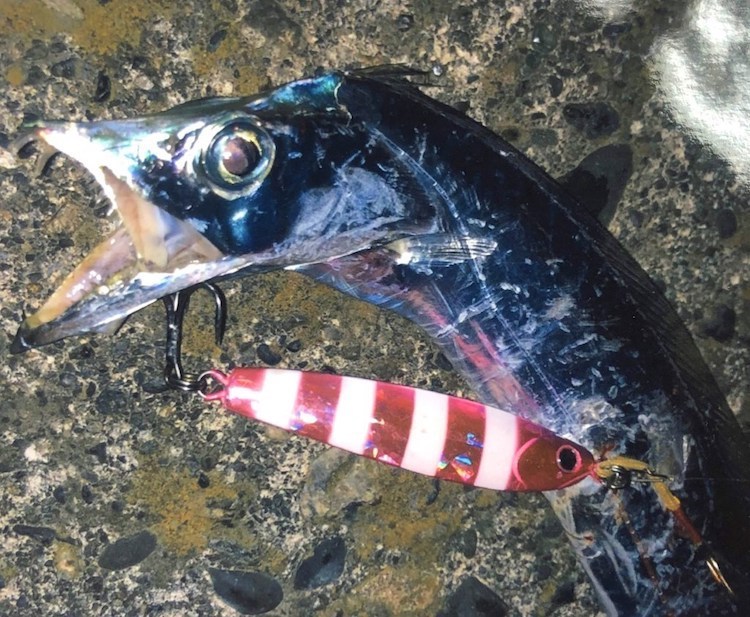 Jackson Tachi Jig 太刀魚鐵板