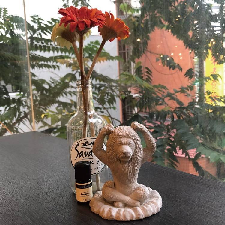 Animal Life 朝隈俊男完全監修擴香石 [共2款可選擇]