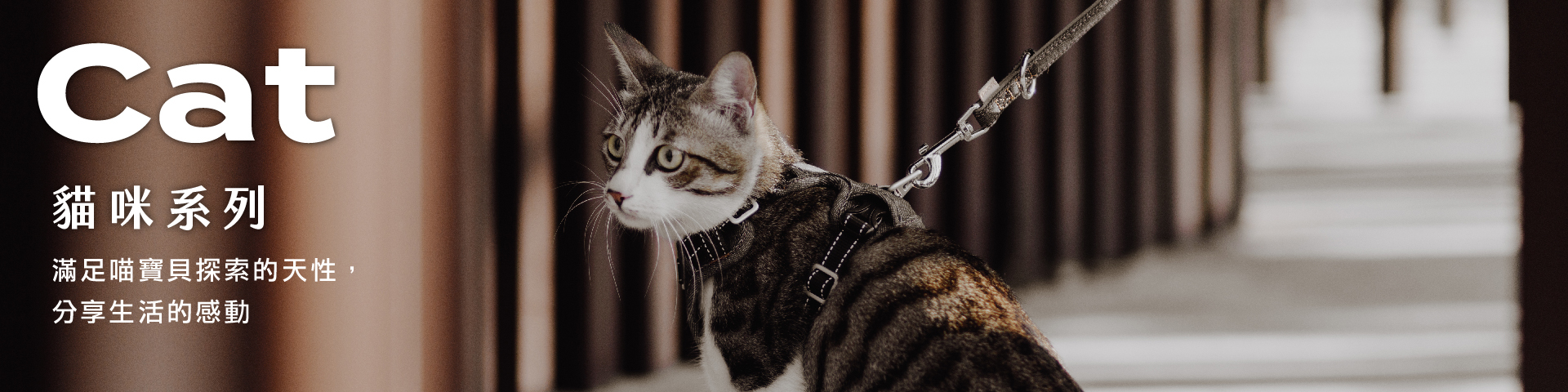 ppark 貓咪專用胸背帶