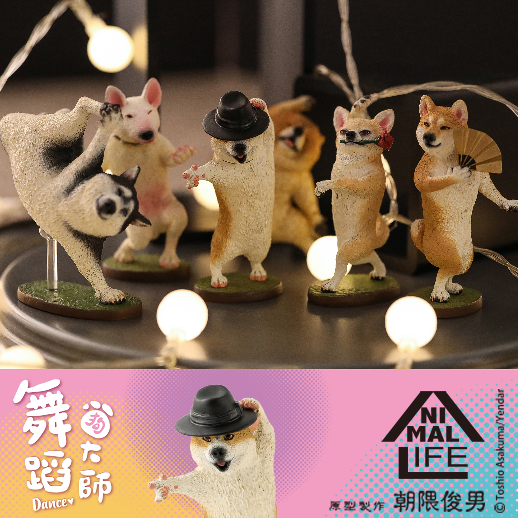 Animal Life 狗舞蹈大師  [ 6入/中盒/台版]