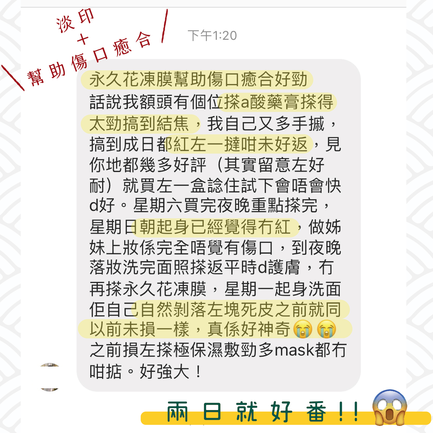 永久花凍膜淡印幫助傷口癮合