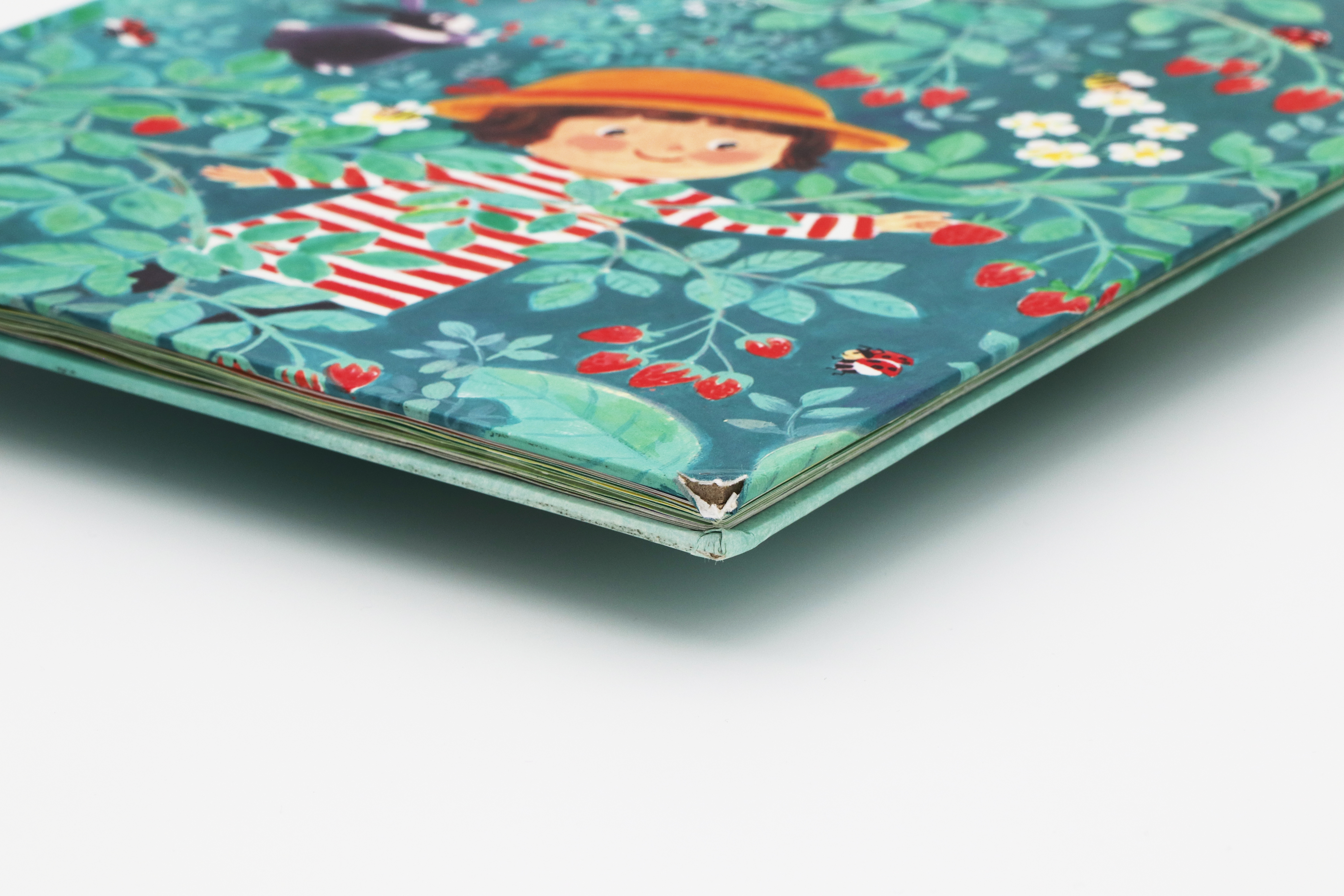 繪本-春天的野餐會