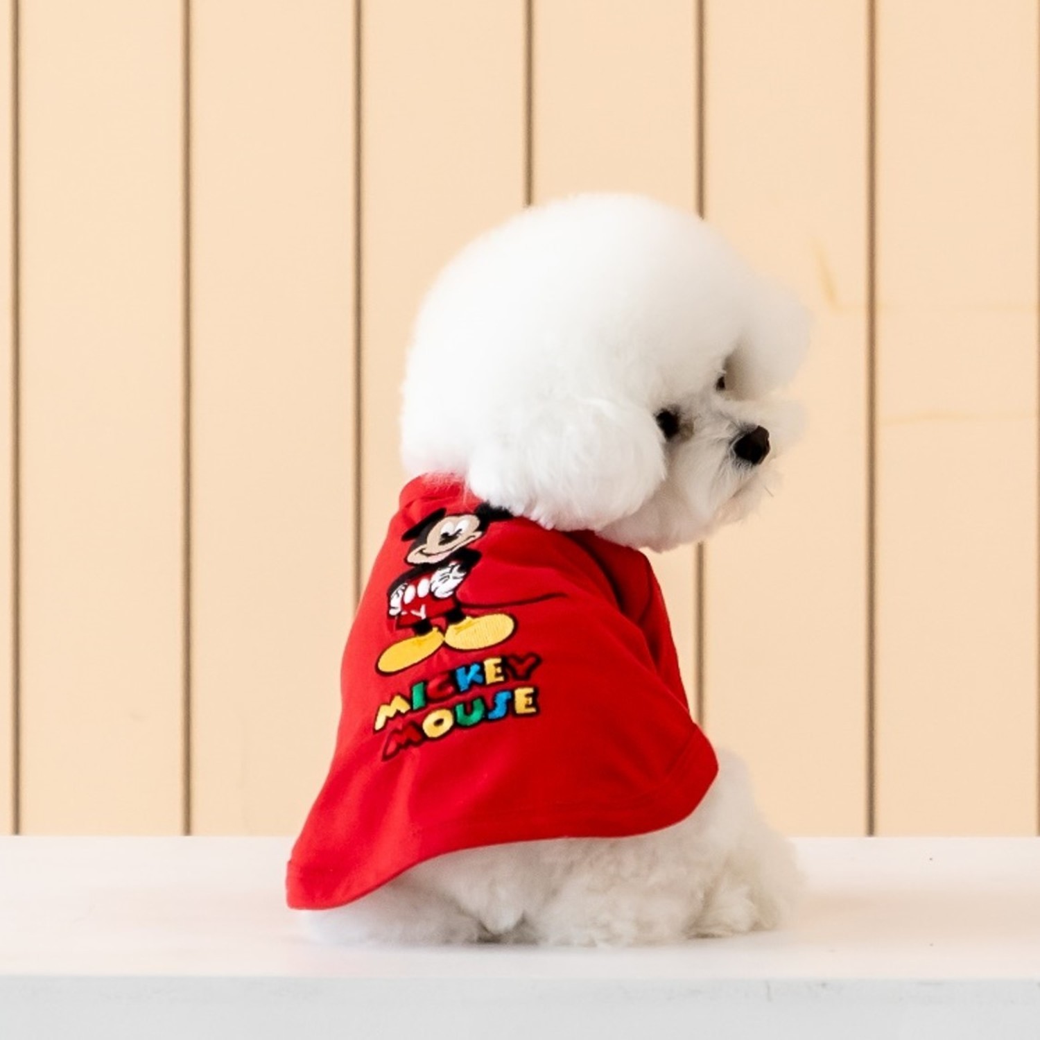 Disney 人物刺繡Tee （米老鼠）