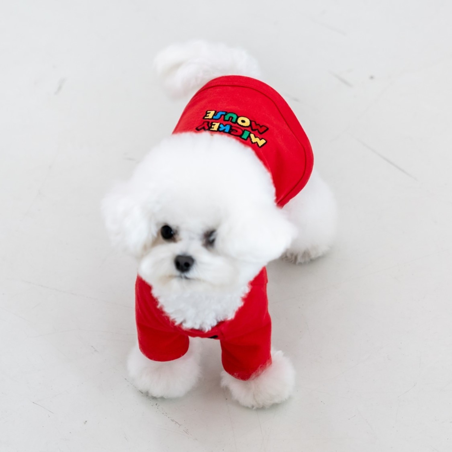 Disney 人物刺繡Tee （米老鼠）