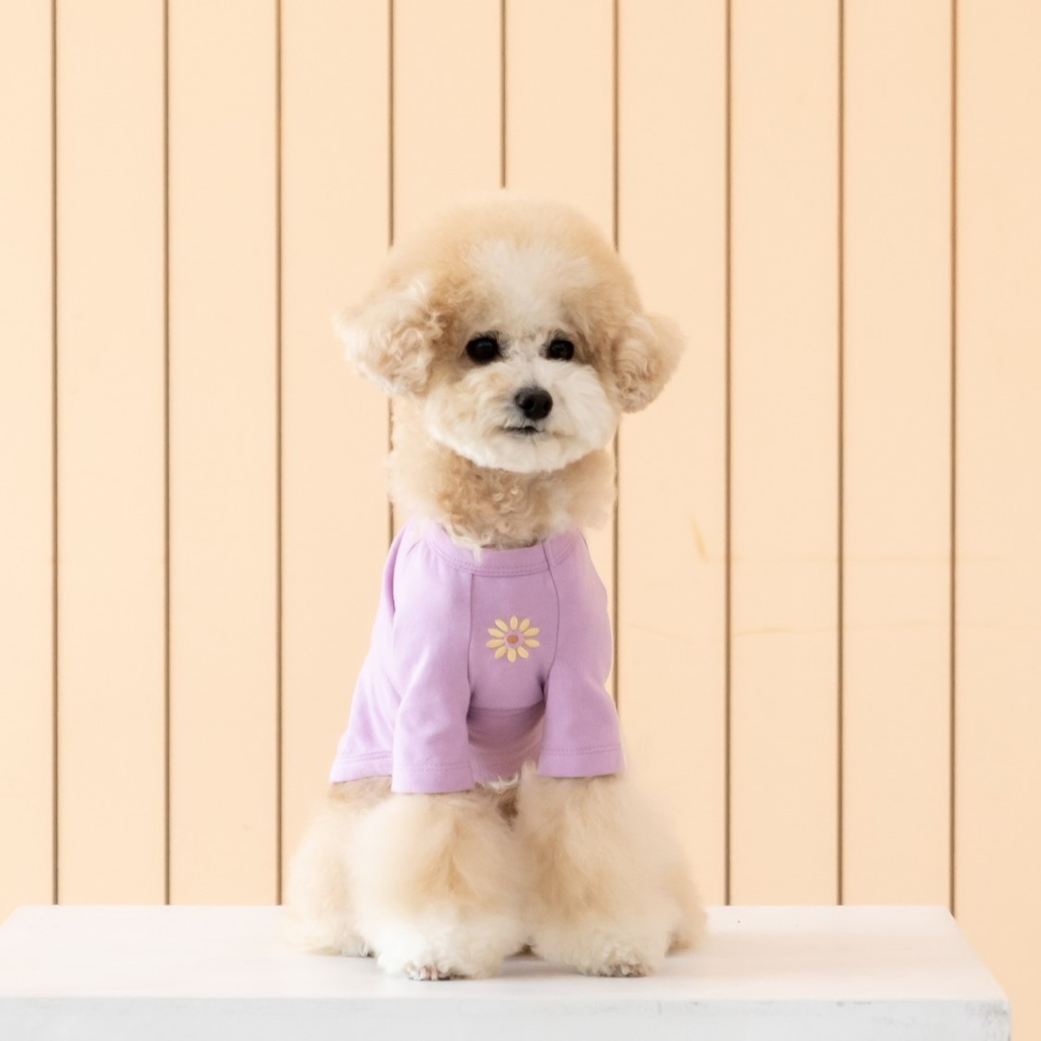 Disney人物刺繡Tee（小兔Thumper)