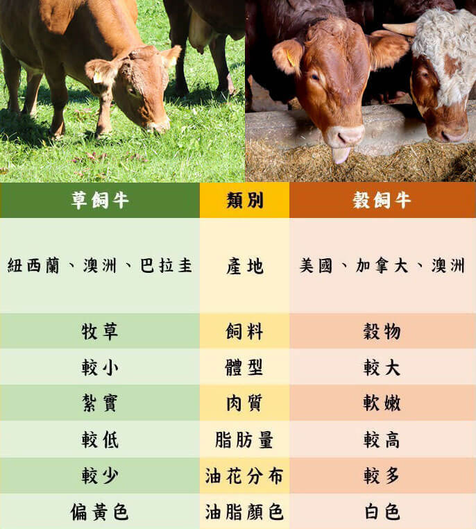 草飼牛榖飼牛比較 草飼牛榖飼牛比較
