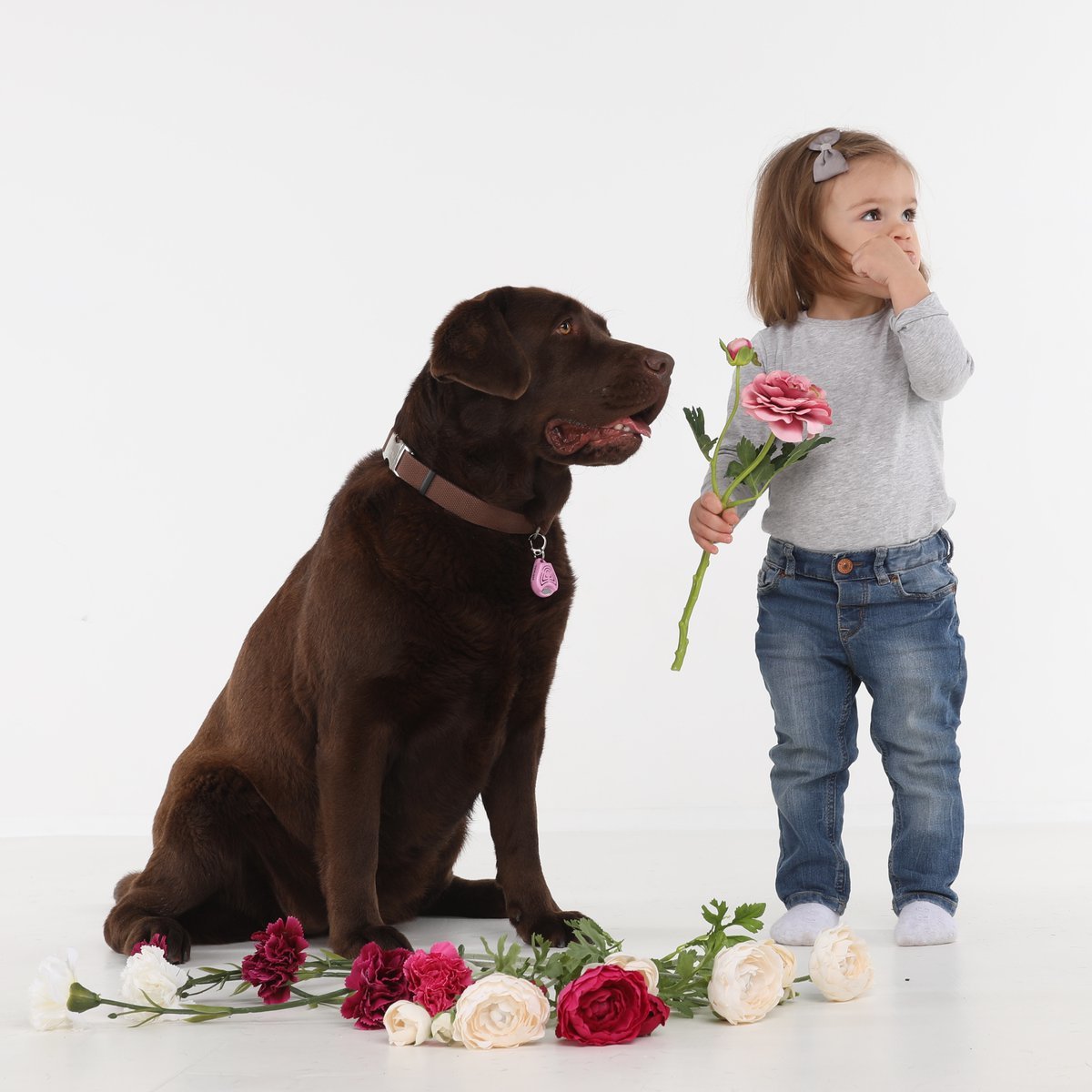 Tickless Ultrasonic Tick and Flea Repeller - Pink