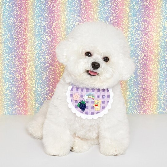 DDOANG Yummy Sherbet Bib