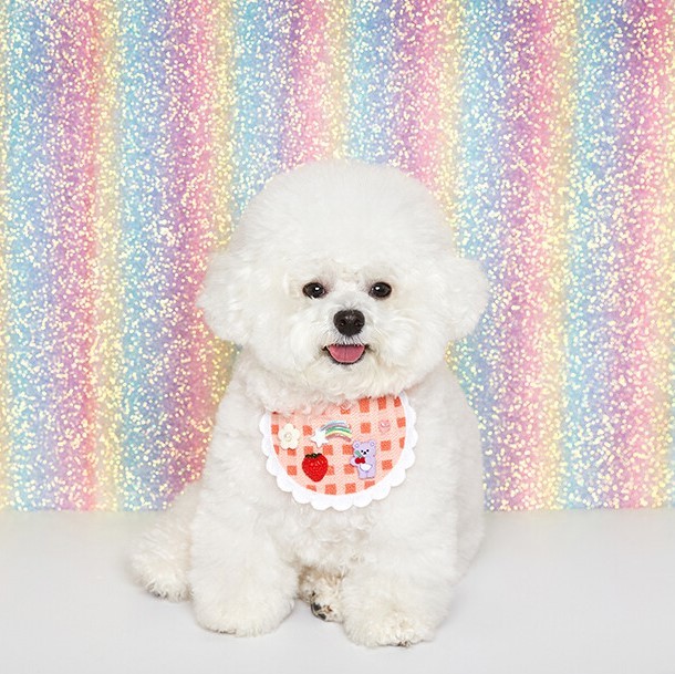 DDOANG Yummy Sherbet Bib