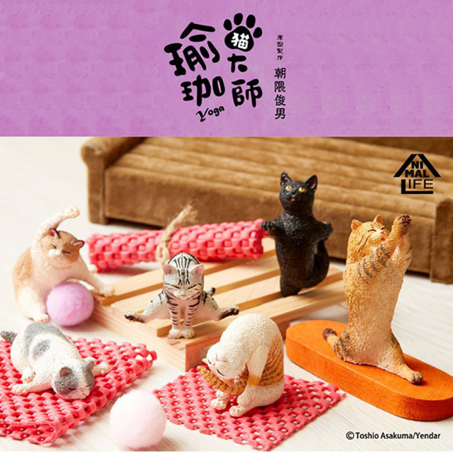 Animal Life 貓瑜珈大師 [摺耳貓]