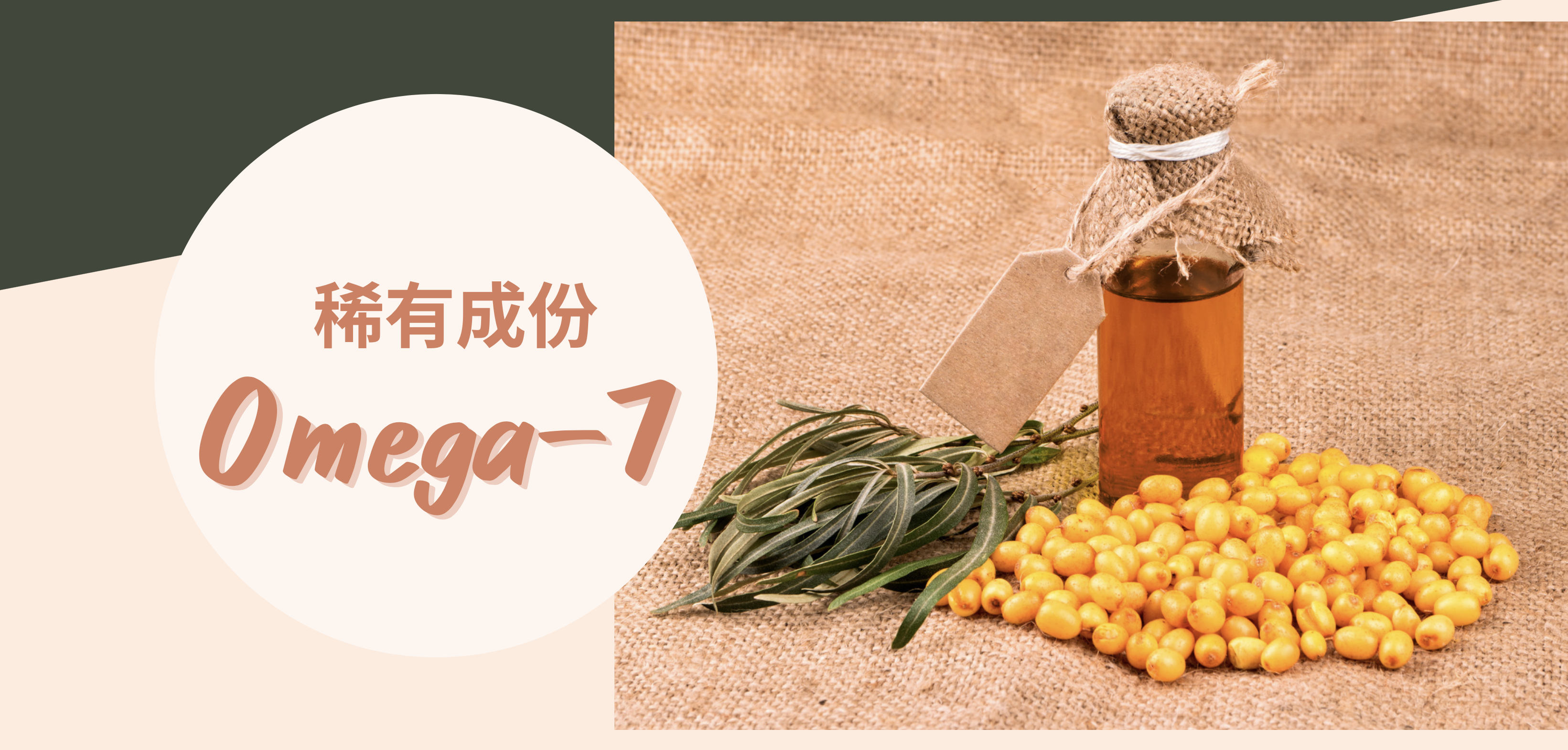 沙棘油，沙棘，omega7，omega7功效