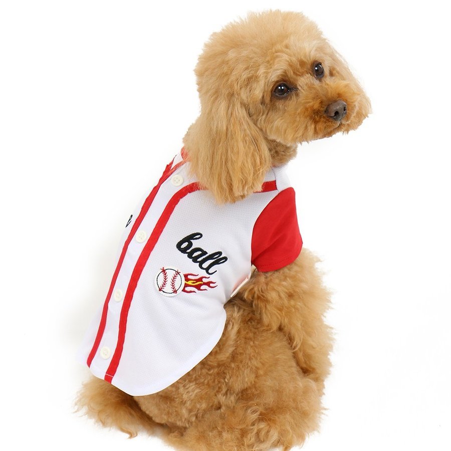 【PET PARADISE】 寵物衣服-棒球T 3S