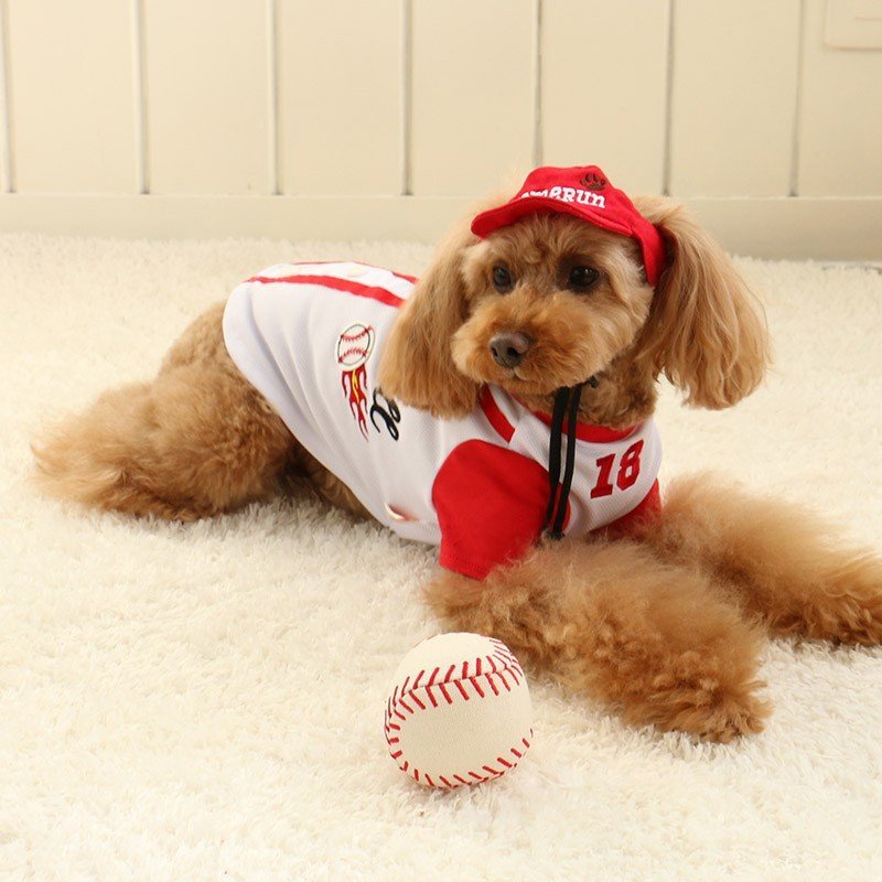 【PET PARADISE】 寵物衣服-棒球T 3S