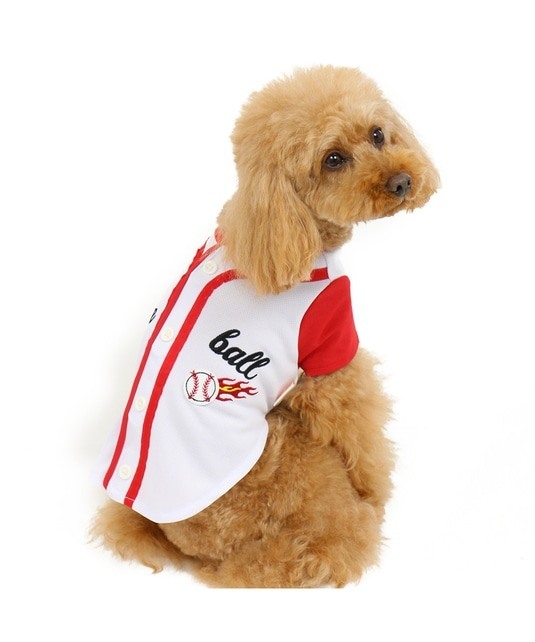 【PET PARADISE】 寵物衣服-棒球T SS