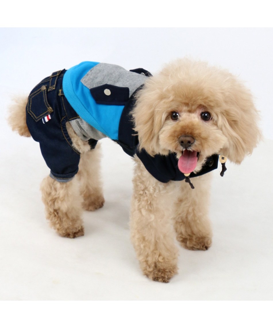 【PET PARADISE】 寵物衣服-連帽雙色口袋T 藍 SS