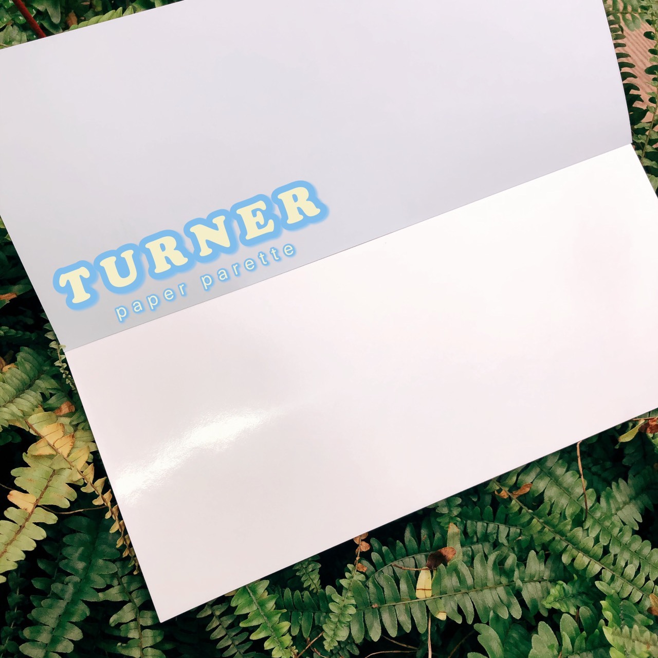 透納Turner 拋棄式紙調色盤