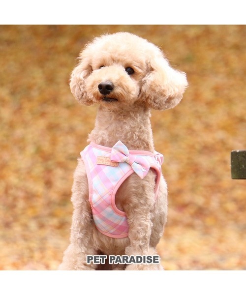 【PET PARADISE】 寵物胸背帶-格紋蝴蝶結 粉藍 SS