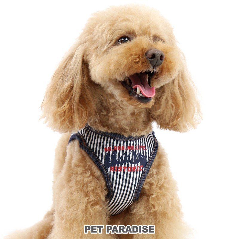 【PET PARADISE】 寵物胸背帶-牛仔條紋藍 SS