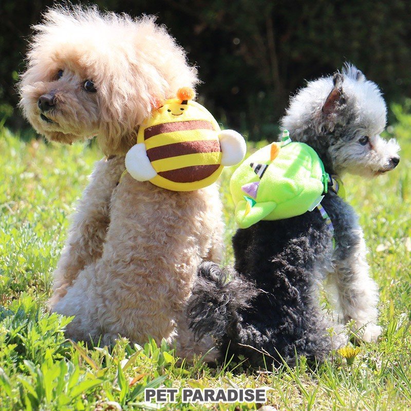 【PET PARADISE】 寵物胸背帶-附恐龍包包 3S、SS