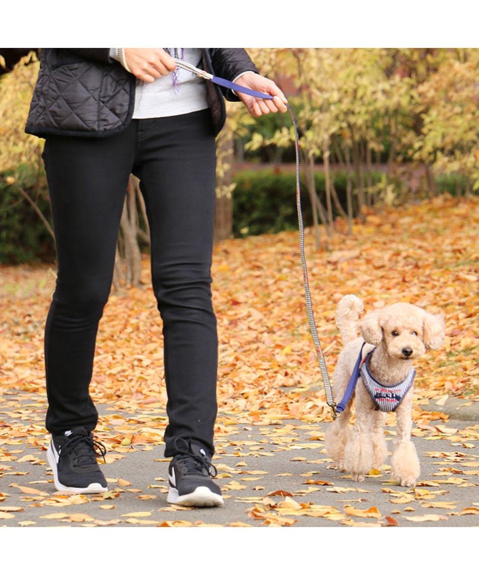 【PET PARADISE】 寵物牽繩-牛仔條紋藍 SS-S