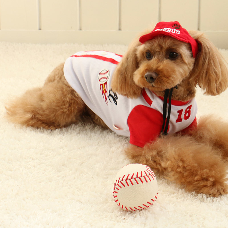 【PET PARADISE】 寵物玩具-棒球